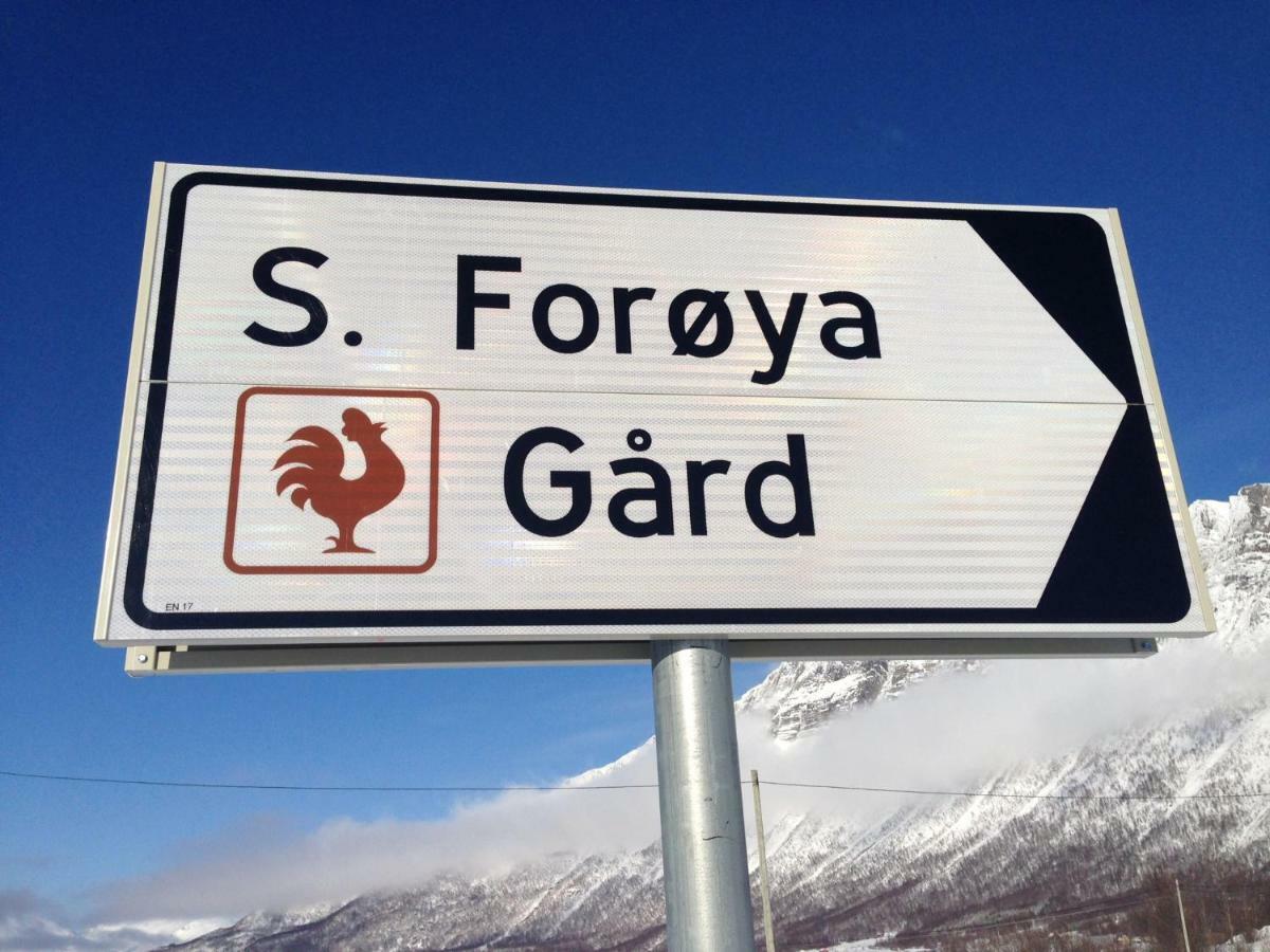 Sondre Foroya Gard Διαμέρισμα Τρόμσο Εξωτερικό φωτογραφία